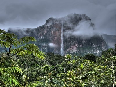 14 Déc. – Soirée conviviale : Venezuela